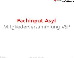 Fachinput Asyl Mitgliederversammlung VSP 02.05.2018 - VSP-SO