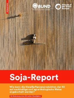 Soja-Report Wie kann die Eiwei&szlig;pflanzenproduktion der EU auf nachhaltige und agrar&ouml;kologische Weise angekurbelt werden? - Bund f&uuml;r Umwelt und ...