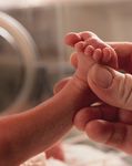 NACHHALTIGE LIEBE - N&Ouml; Familienland