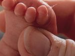 NACHHALTIGE LIEBE - N&Ouml; Familienland