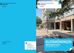 KLEINHÜNINGEN PRIMARSTUFE - INFOBROSCHÜRE 2019/2020 - eduBS