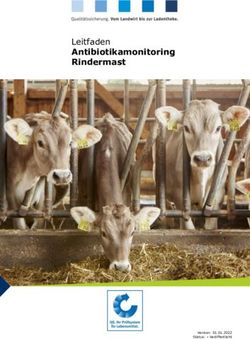 Leitfaden Antibiotikamonitoring Rindermast - QS