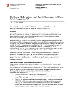 Einf&uuml;hrung CO2-Emissionsvorschriften f&uuml;r Lieferwagen und leichte Sattelschlepper ab 2020