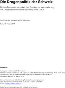 DIE DROGENPOLITIK DER SCHWEIZ - DRITTES MASSNAHMENPAKET DES BUNDES ZUR VERMINDERUNG DER DROGENPROBLEME (MAPADRO III) 2006 2011 - B&Uuml;RO VATTER