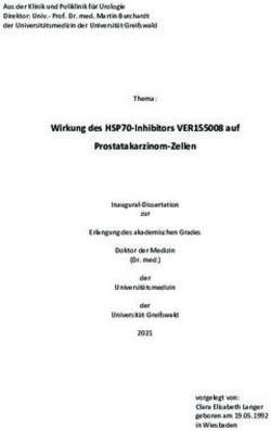 Wirkung des HSP70-Inhibitors VER155008 auf Prostatakarzinom-Zellen