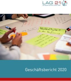 Gesch&auml;ftsbericht 2020 - LAG 21 NRW