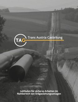 Leitfaden f&uuml;r sicheres Arbeiten im Nahbereich von Erdgasleitungsanlagen