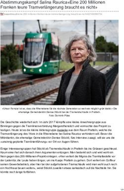 Abstimmungskampf Salina Raurica"Eine 200 Millionen Franken teure Tramverl&auml;ngerung braucht es nicht"