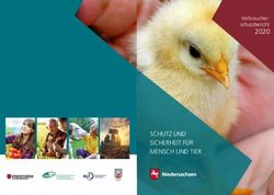 SCHUTZ UND SICHERHEIT F&Uuml;R MENSCH UND TIER - 2020 Verbraucher-schutzbericht - Nds ...