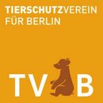 Ehrenamtliche Pflegestellen für das Tierheim Berlin