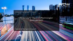 FÖRDERUNG FÜR WASSERSTOFFTECHNOLOGIEN DURCH DAS BMVI - WEBINAR HYEXPERT INGOLSTADT| 27. JULI 2021 ALEXANDER GEHLING, PROGRAMM MANAGER NIP