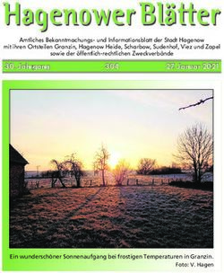 HAGENOWERBLÄTTER - STADT HAGENOW