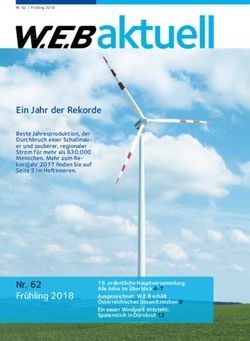 Ein Jahr der Rekorde - WEB Windenergie AG