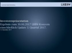 Investorenpräsentation Ergebnis zum 30.06.2017 LBBW-Konzern einschließlich Update 3. Quartal 2017 - November 2017