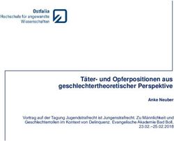 Täter- und Opferpositionen aus geschlechtertheoretischer Perspektive - DVJJ