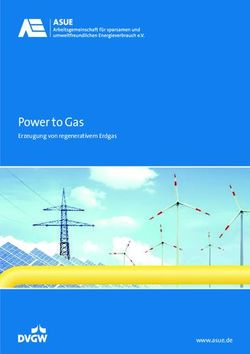Power to Gas Erzeugung von regenerativem Erdgas - www.asue.de