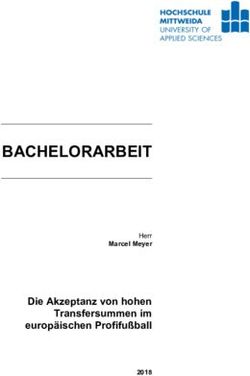 BACHELORARBEIT - Die Akzeptanz von hohen Transfersummen im europäischen Profifußball - Hochschule Mittweida