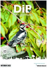 OKTOBER 2022 WWW.DIB-VERLAG.DE