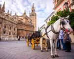 Sevilla - Intensiv, faszinierend, einmalig! - Kunst- und Kulturreise in die Hauptstadt Andalusiens vom 22. bis 26. April 2020 - Berliner ...