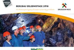 BERGBAU ERLEBNISTAGE 2018 - Die Montanregion Erzgebirge/Krušnohoˇrí auf dem Weg zum Welterbe - Erlebnisheimat Erzgebirge