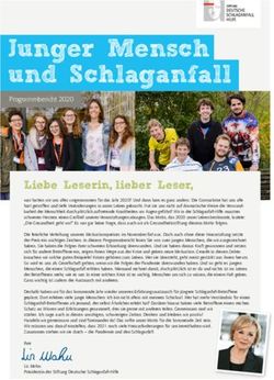 Junger Mensch und Schlaganfall - Programmbericht 2020