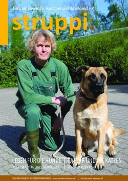 Struppi - Tierheim Hannover
