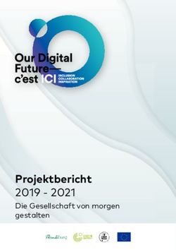 Projektbericht 2019 - 2021 Die Gesellschaft von morgen gestalten - Goethe-Institut