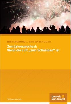 Zum Jahreswechsel: Wenn die Luft "zum Schneiden" ist - hintergrund // november 2020