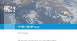 Förderangebot EZS Roman Hassler - Peik