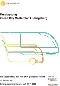 Kurzfassung Green City Masterplan Ludwigsburg - Schlussbericht zu dem vom BMVI geförderten Projekt