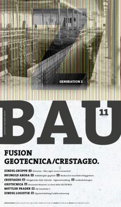 FUSION GEOTECNICA/CRESTAGEO - brunold arosa