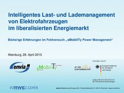 Intelligentes Last- und Lademanagement von Elektrofahrzeugen im liberalisierten Energiemarkt - sMobiliTy