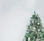 Christbaumsammlung - Urbach.de