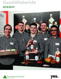 Geschäftsbericht 2018/2019 - Young Enterprise Switzerland