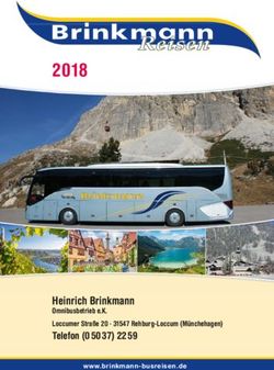 2018 Heinrich Brinkmann Omnibusbetrieb e.K. Loccumer Stra&szlig;e 20 31547 Rehburg-Loccum (M&uuml;nchehagen) - Brinkmann Reisen