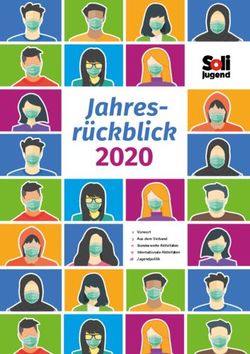 2020 Jahres-rückblick - Solijugend