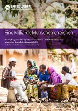 Eine Milliarde Menschen erreichen - Bekämpfung vernachlässigter Tropenkrankheiten - die Schnittstelle zu einer universellen Gesundheitsversorgung ...