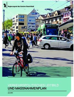 VERKEHRSPOLITISCHES LEITBILD UND MASSNAHMENPLAN