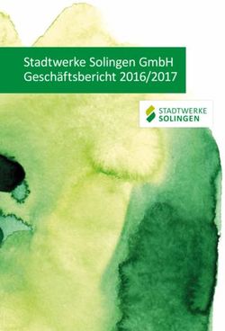 Stadtwerke Solingen GmbH Geschäftsbericht 2016/2017