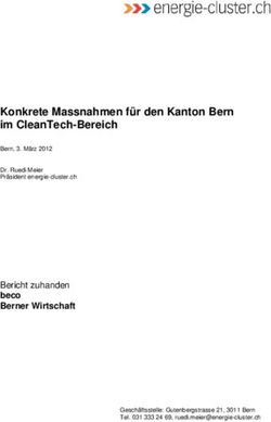 Konkrete Massnahmen für den Kanton Bern im CleanTech-Bereich - Energie Cluster