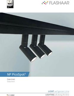 NP PicoSpot3 LICHT auf ganzer Linie LIGHTING all along the line - FLASHAAR LEDLight