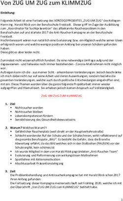 Von ZUG UM ZUG zum KLIMMZUG