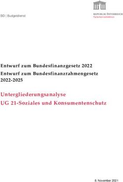 Untergliederungsanalyse UG 21-Soziales und Konsumentenschutz - Entwurf zum Bundesfinanzgesetz 2022 Entwurf zum Bundesfinanzrahmengesetz 2022-2025 ...