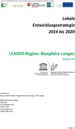 Lokale Entwicklungsstrategie 2014 bis 2020 - LEADER-Region: Biosphäre Lungau Version 2.0