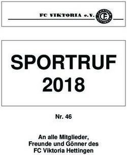 SPORTRUF 2018 Nr. 46 An alle Mitglieder, Freunde und Gönner des FC Viktoria Hettingen