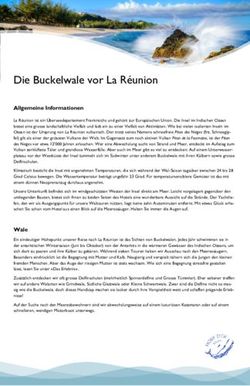 Die Buckelwale vor La R&eacute;union - Allgemeine Informationen - Experience Giants