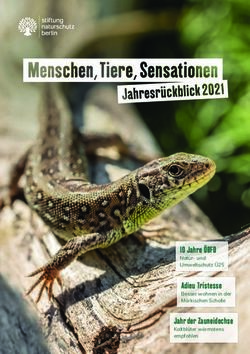 10 Jahre &Ouml;BFD Natur- und Umweltschutz &Uuml;25 - Adieu Tristesse