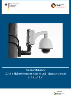 Zielmarktanalyse "Zivile Sicherheitstechnologien und -dienstleistungen in Südafrika" - Subheadline/Arial - iXPOS