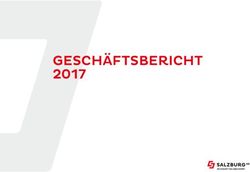 GESCHÄFTSBERICHT 2017 - Salzburg AG