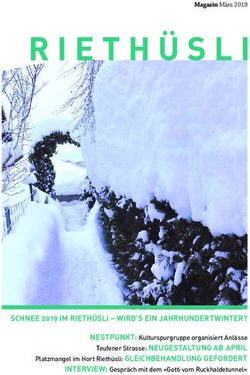 SCHNEE 2019 IM RIETHÜSLI - WIRD'S EIN JAHRHUNDERTWINTER? - Quartierverein Riethüsli St.Gallen